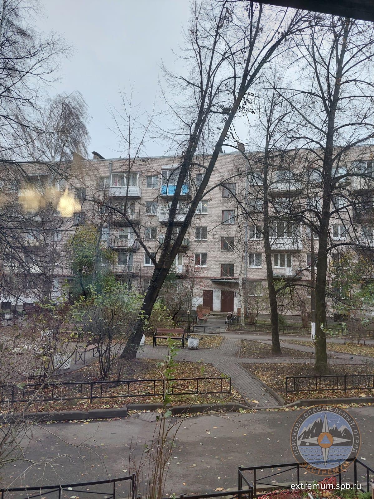 IMG-20241109-WA0003.jpg