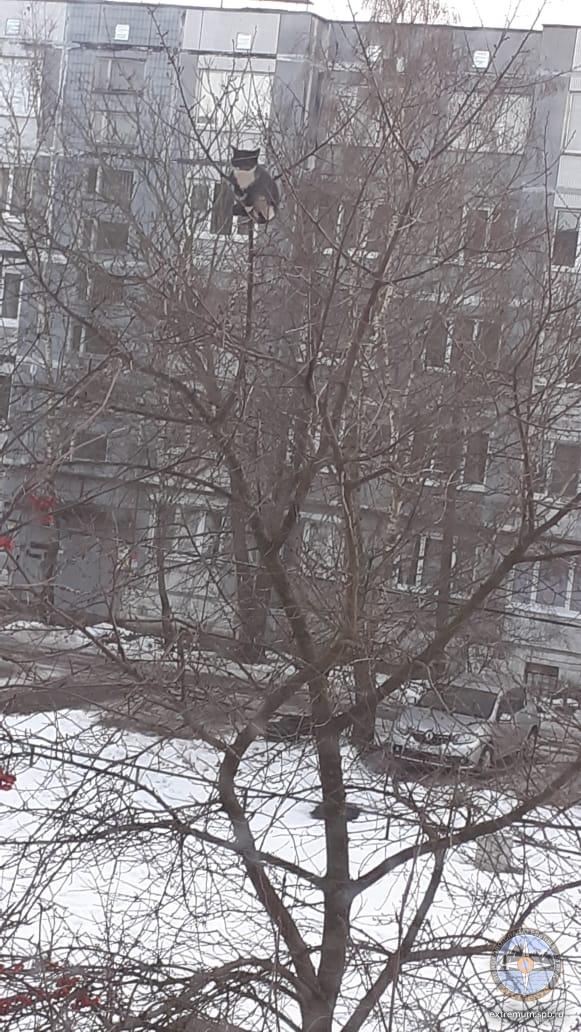 WhatsApp Image 2025-01-17 at 11.35.14.jpeg