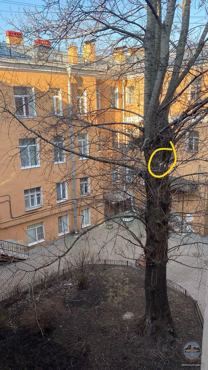 Изображение WhatsApp 2025-03-24 в 10.33.49_e760b450.jpg