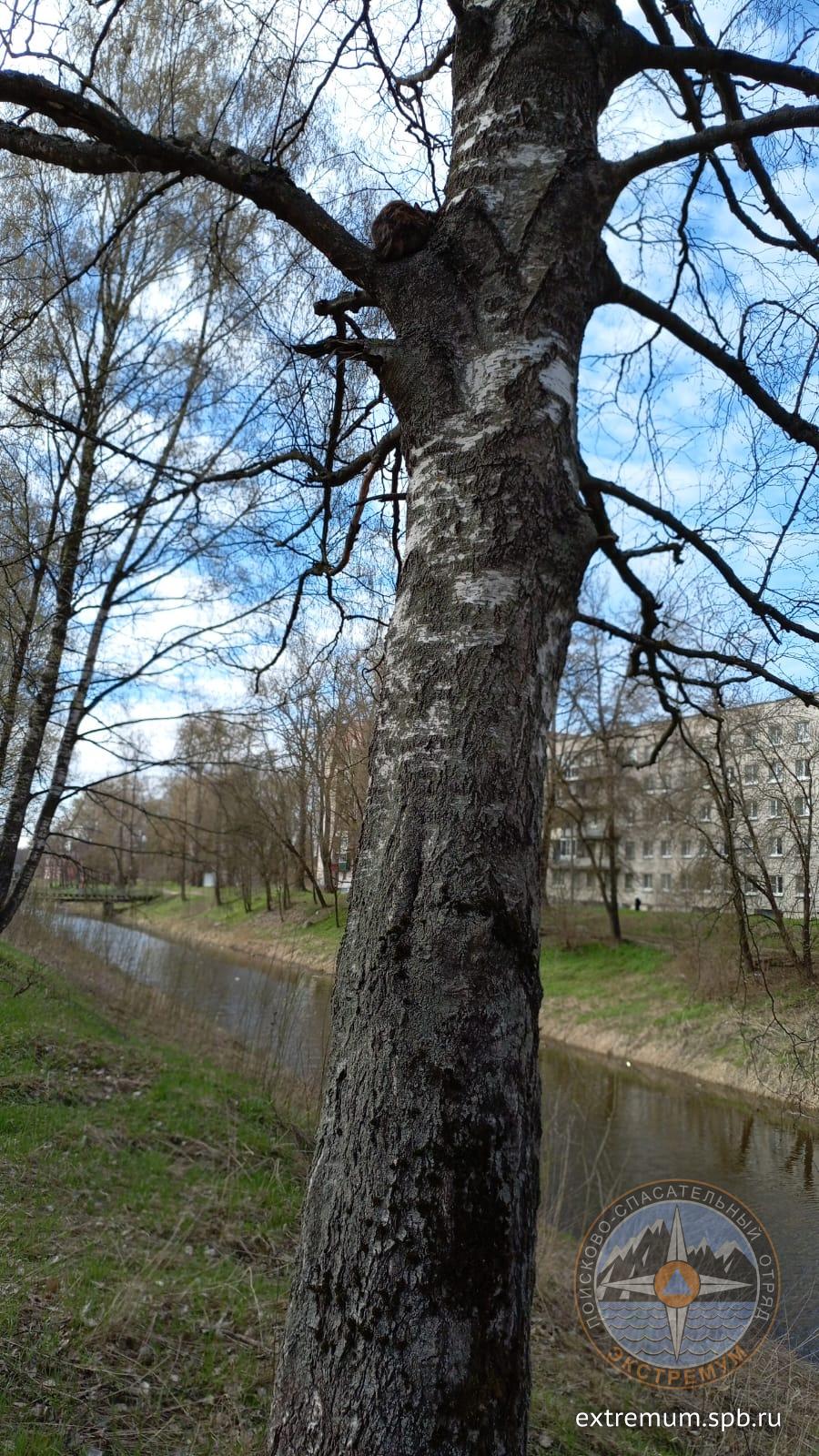 IMG-20250424-WA0013.jpg