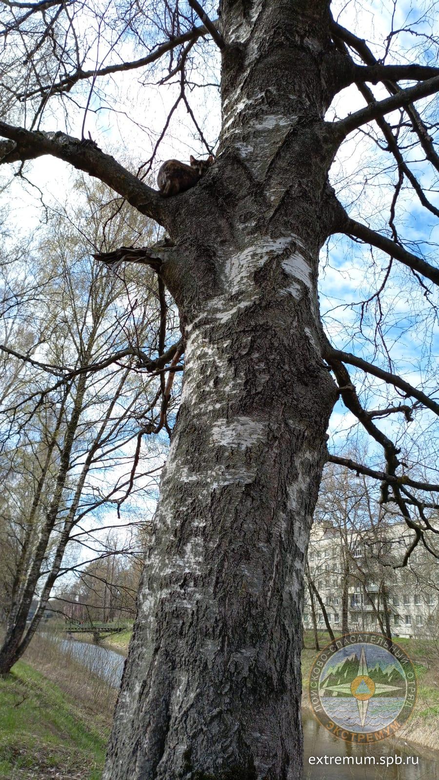 IMG-20250424-WA0014.jpg