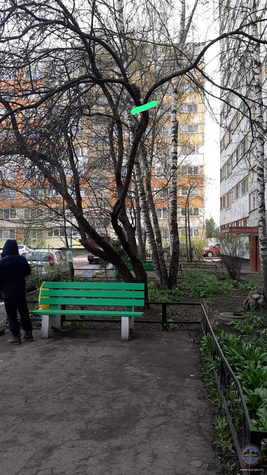 Изображение WhatsApp 2025-04-25 в 15.55.48_f0a4bd6d.jpg