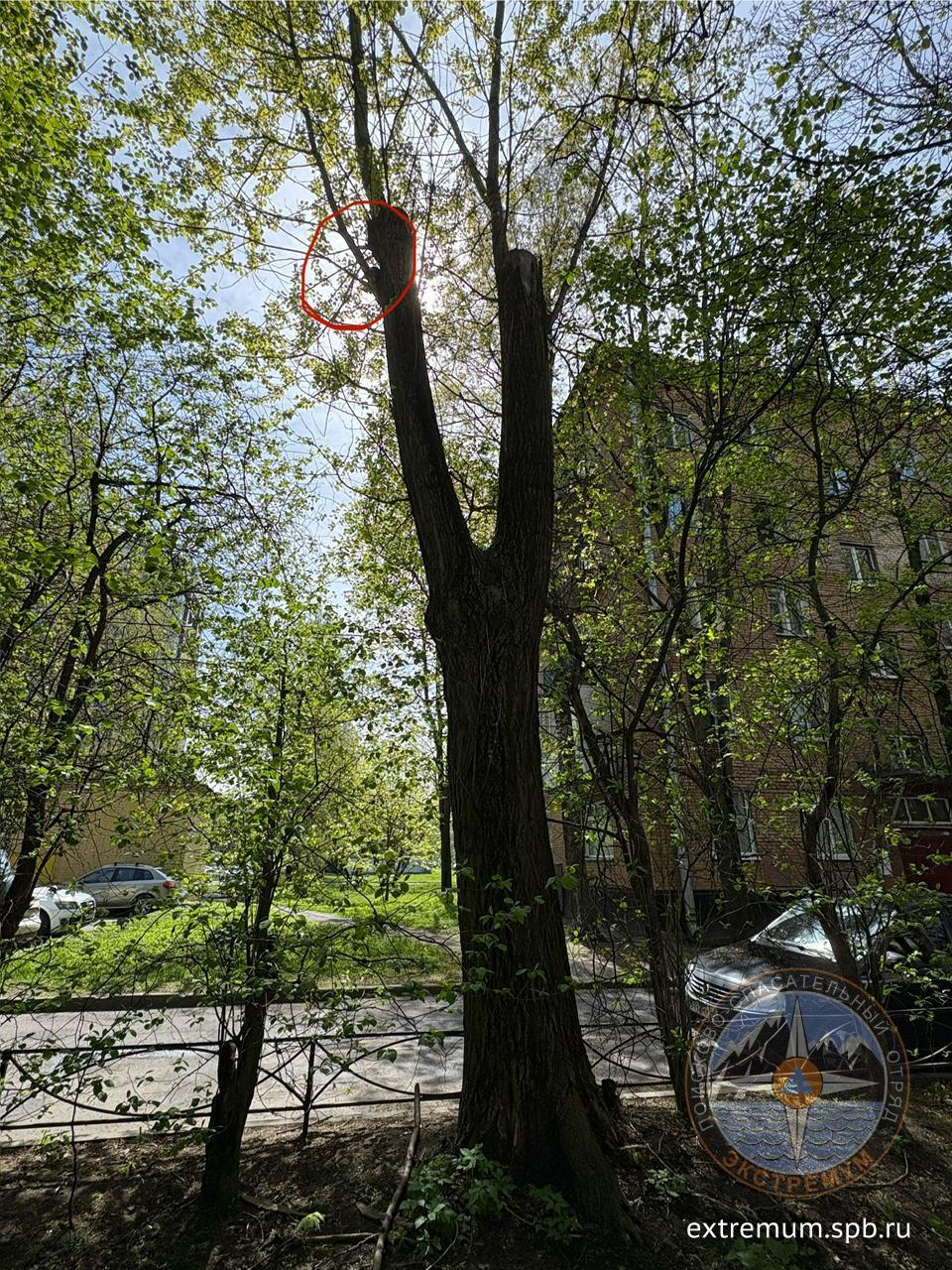 крюкова1.jpg