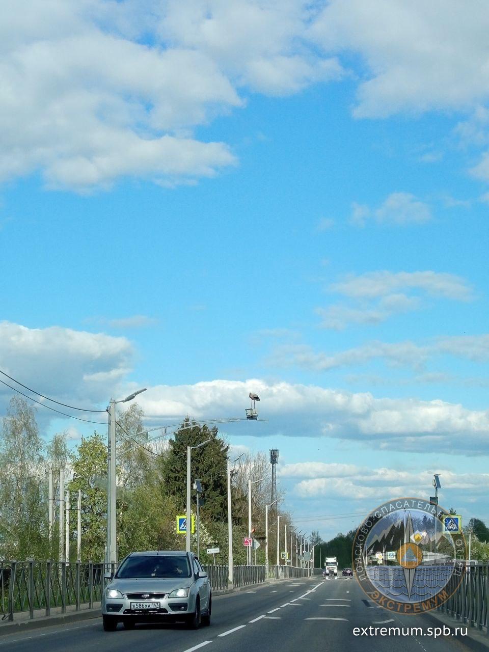 IMG-20250521-WA0017.jpg