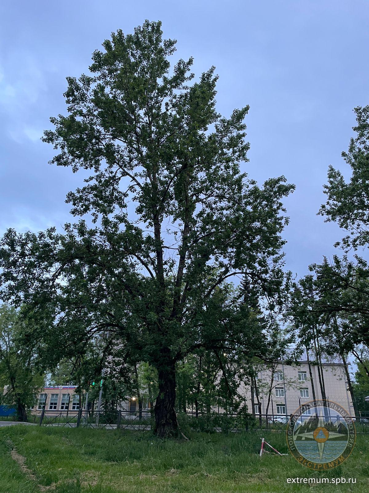 Изображение WhatsApp 2025-06-02 в 22.00.44_2eef8d10.jpg