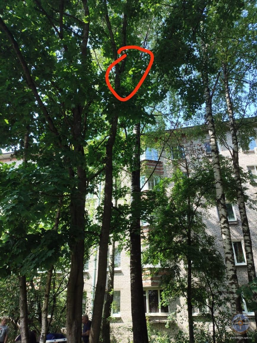Петергоф.jpg
