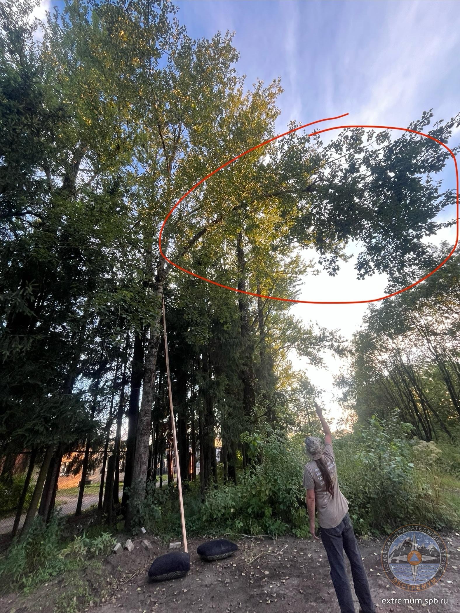 гат1.jpg