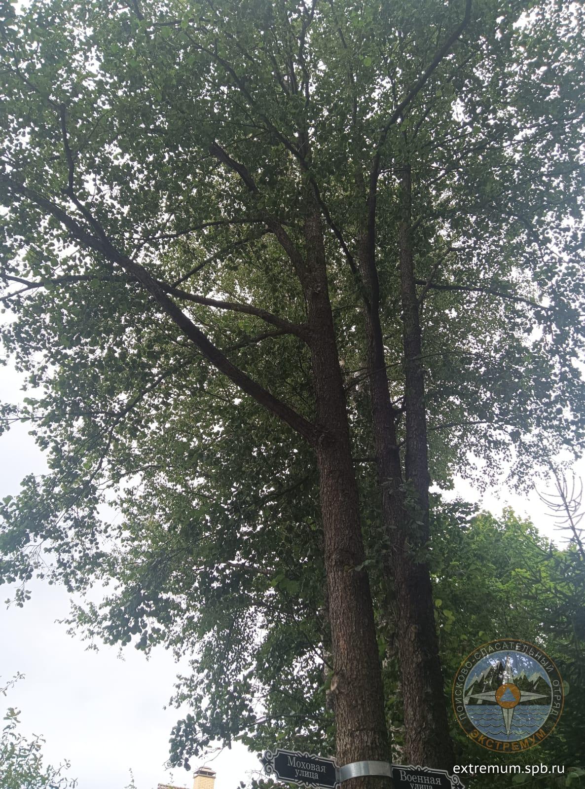 WhatsApp Image 2025-08-10 at 15.30.22.jpeg