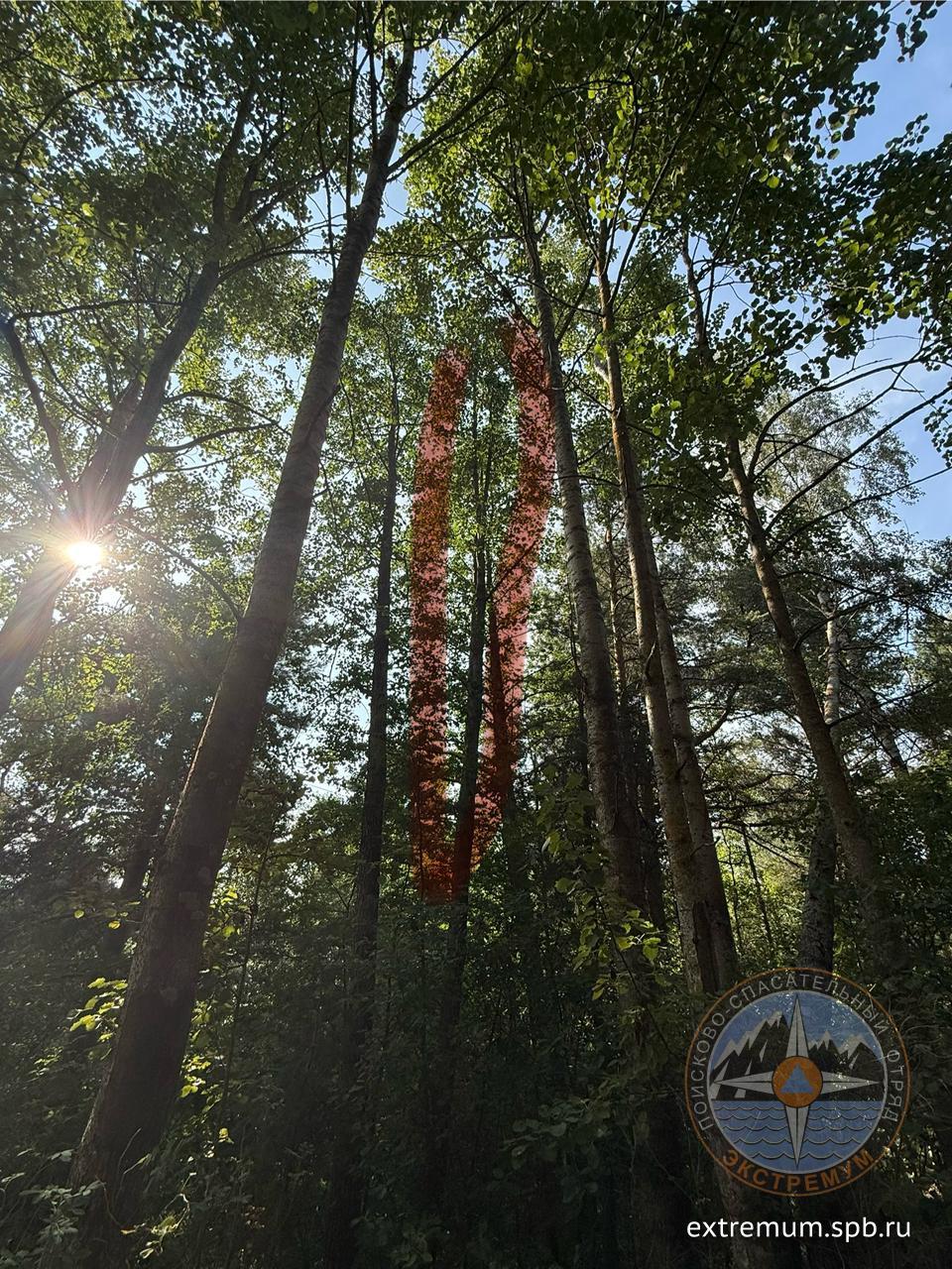 WhatsApp Image 2025-08-10 at 16.27.44.jpeg