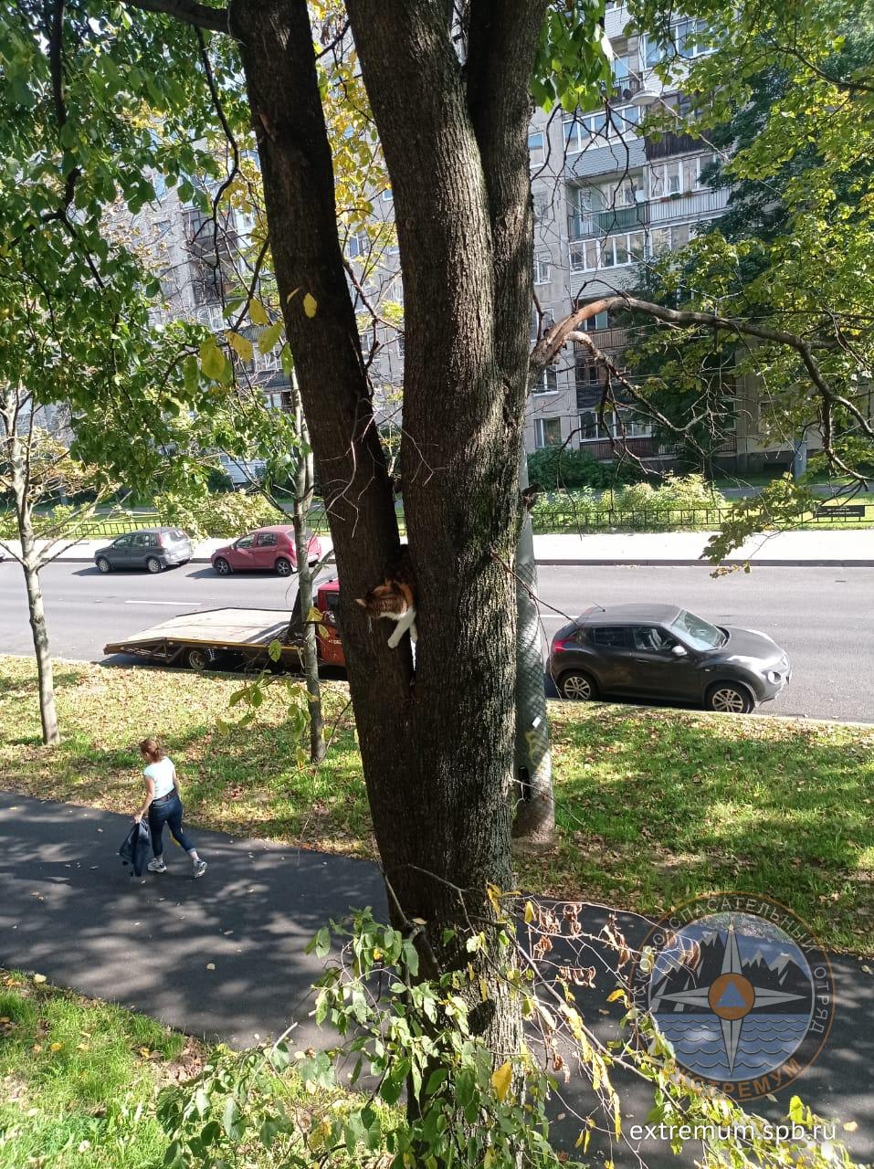 WhatsApp Image 2025-09-09 at 13.13.40 (1).jpeg