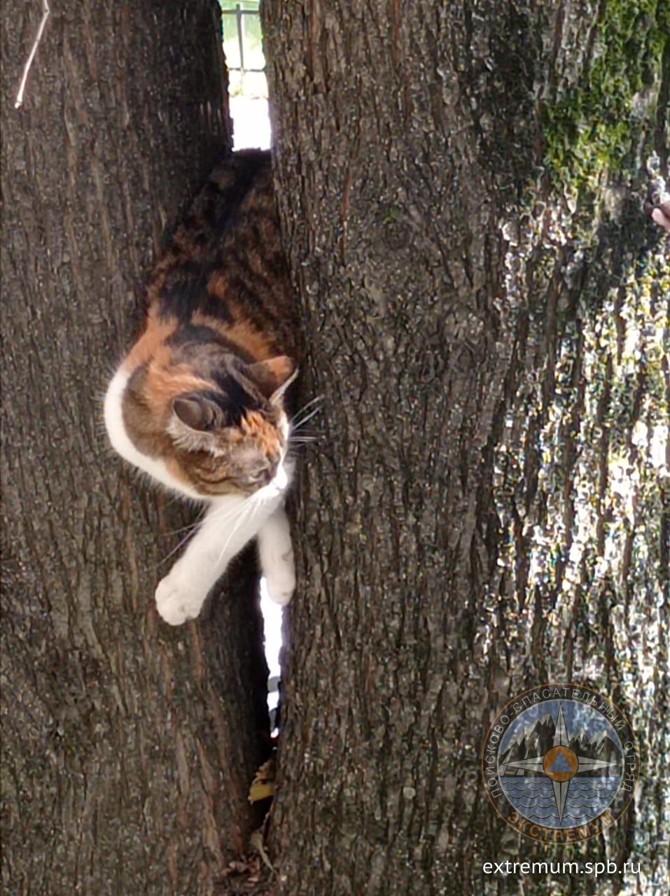 WhatsApp Image 2025-09-09 at 13.13.40.jpeg