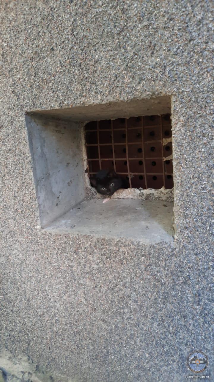 WhatsApp Image 2025-09-29 at 14.00.35.jpeg