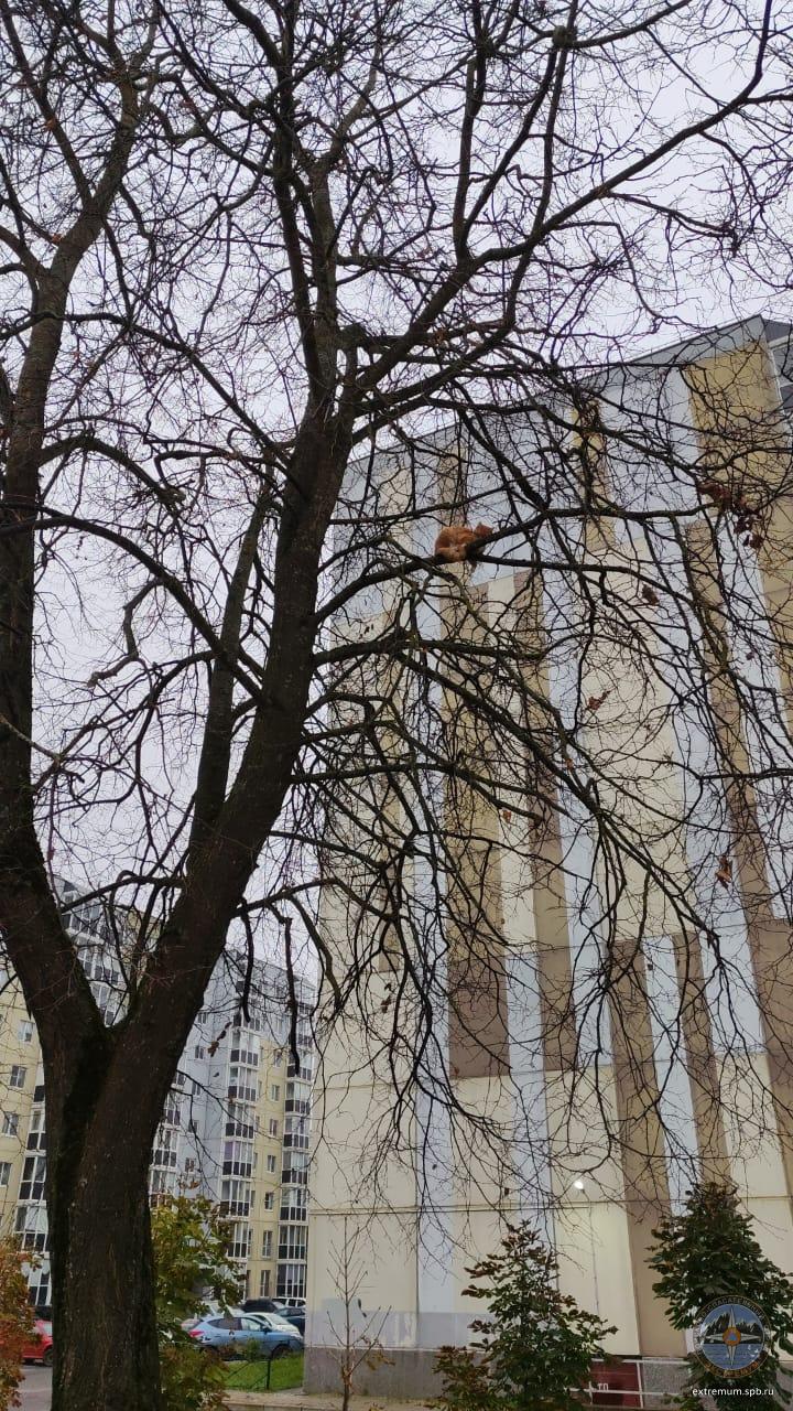 WhatsApp Image 2025-10-24 at 10.06.05.jpeg