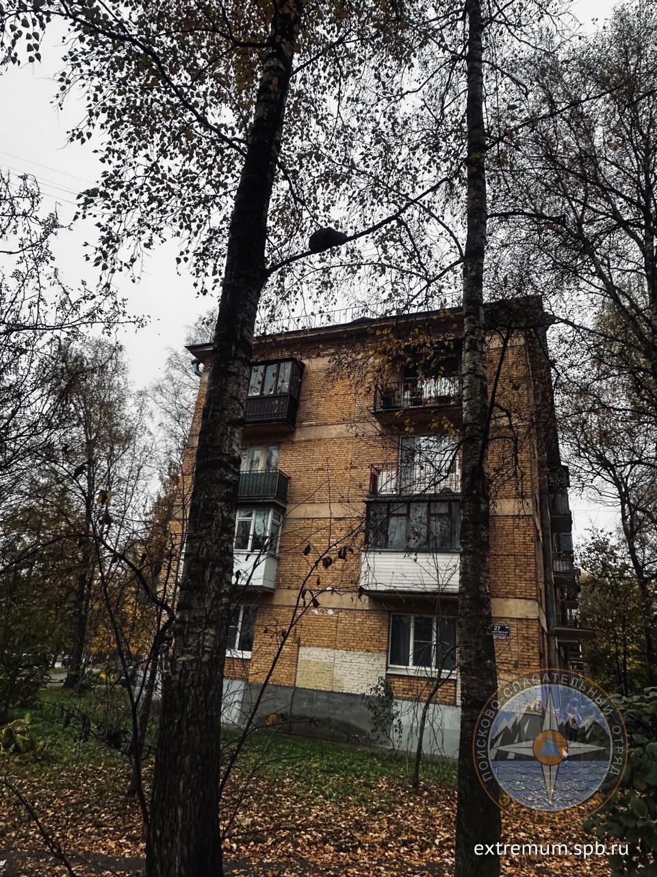 WhatsApp Image 2025-10-24 at 14.20.31.jpeg