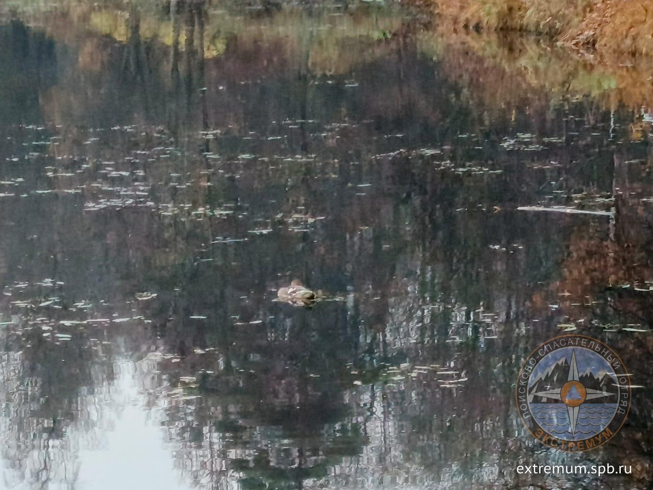 WhatsApp Image 2025-11-01 at 13.28.29.jpeg