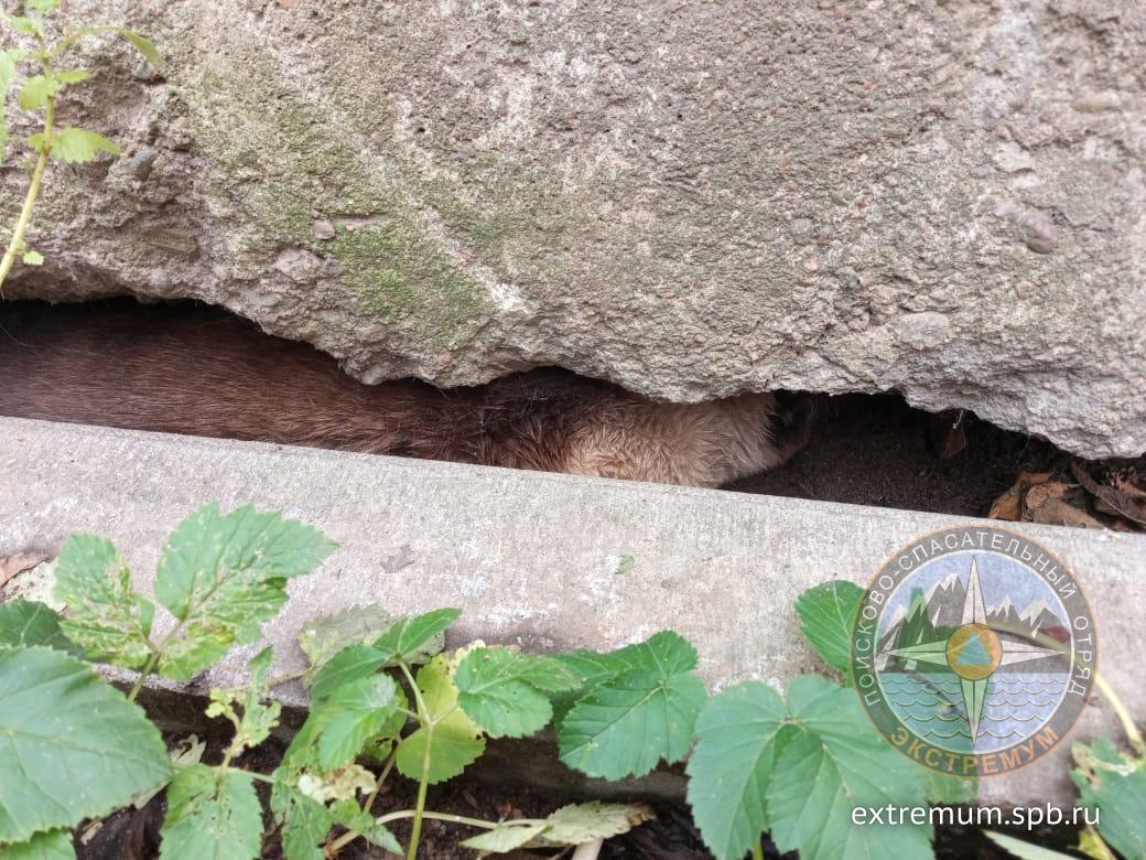 WhatsApp Image 2025-11-10 at 12.22.51 (1).jpeg