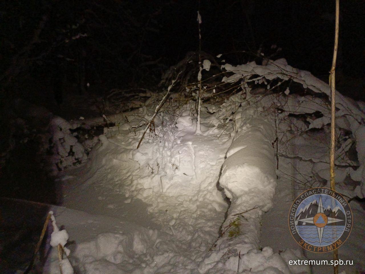 Бревно где снимали лыжи..jpg