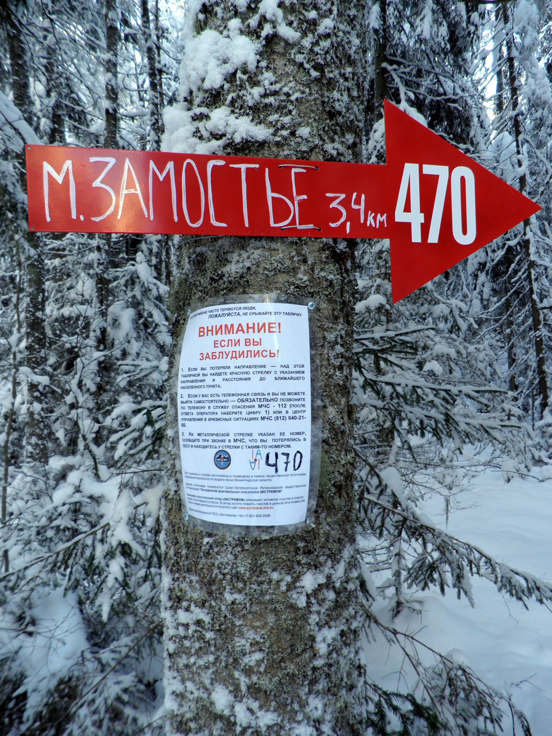 P1230051_1.jpg
