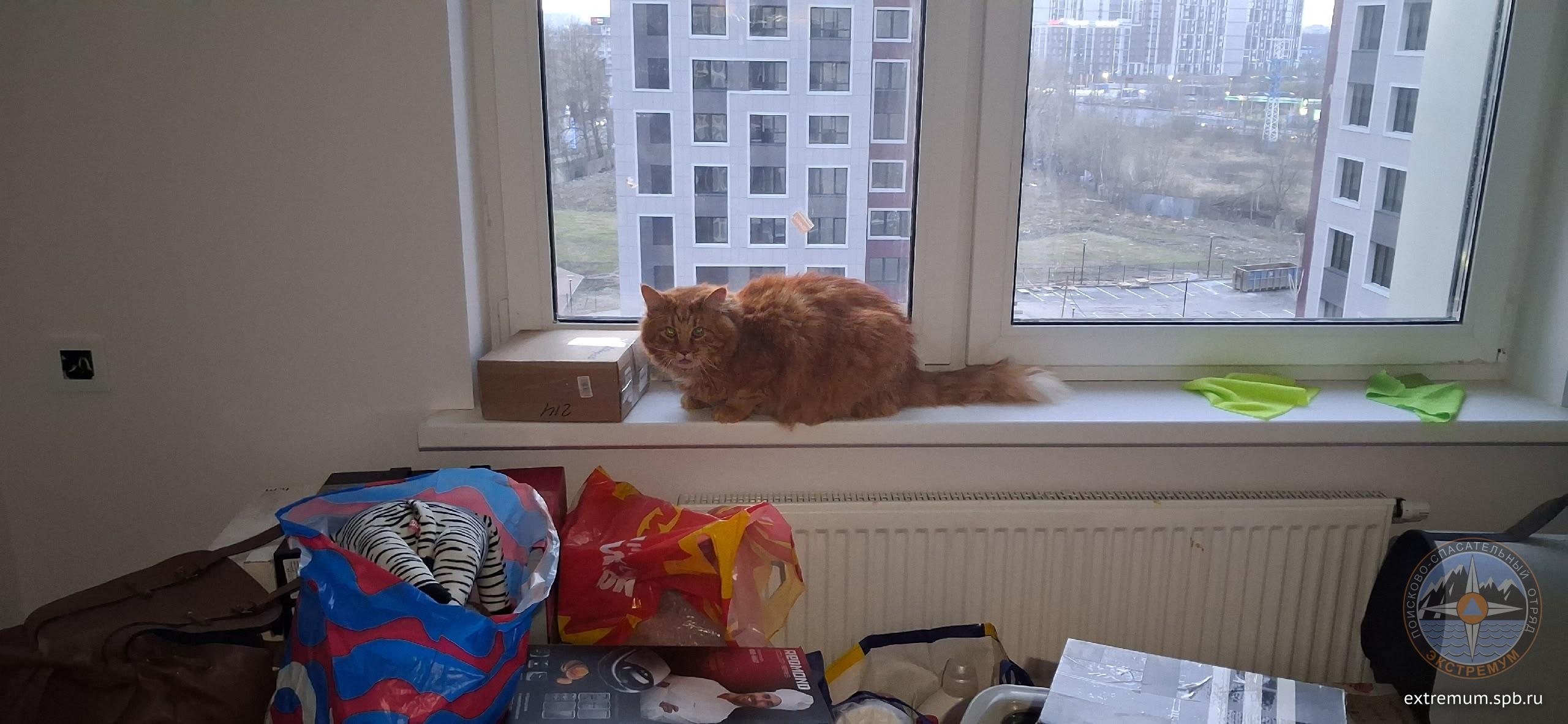 рыж.jpg