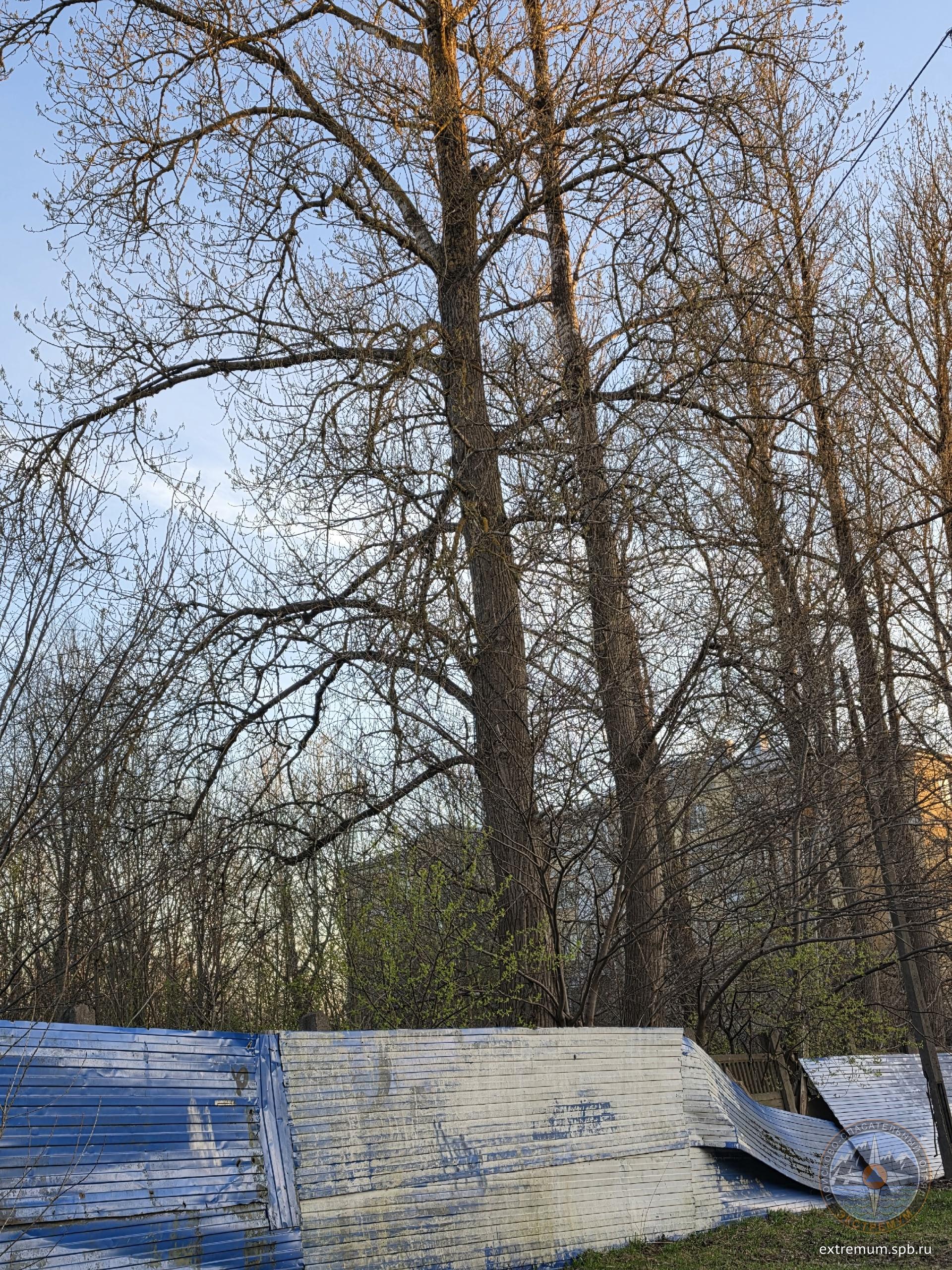 пу.jpg