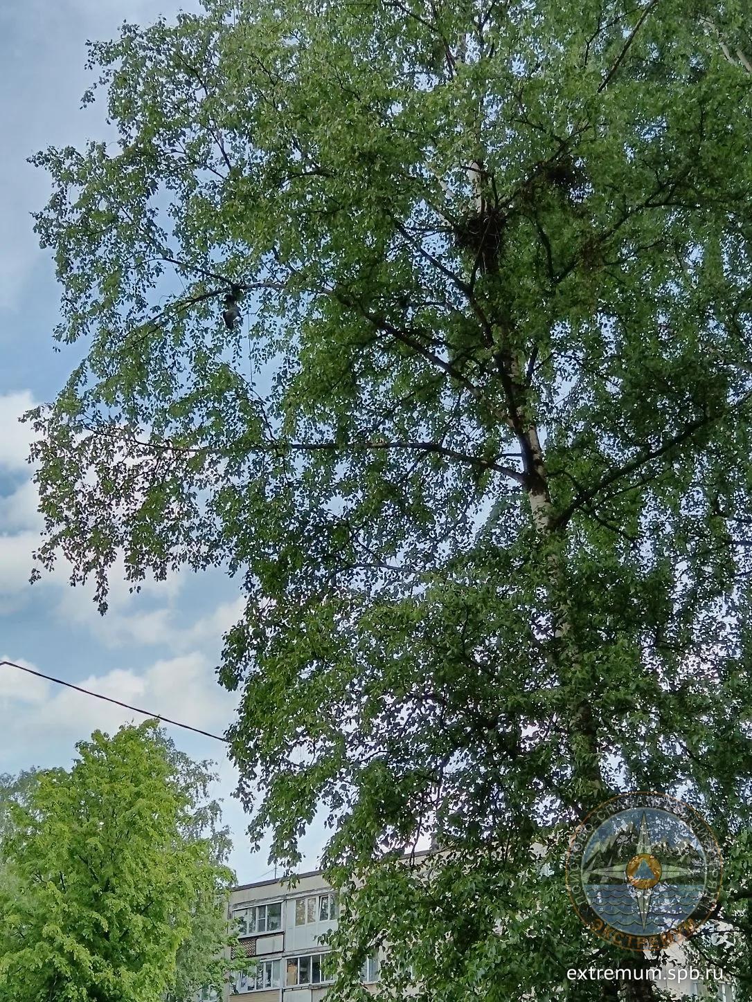 BGMAvikrz5QybaA_hu0c2zOnaaPnGO0qvXhxI5jAJuNh3W6xKdD2RIUj1Xrwc-oF5txP-9zcxC6S2zvYbxQROlTr.jpg