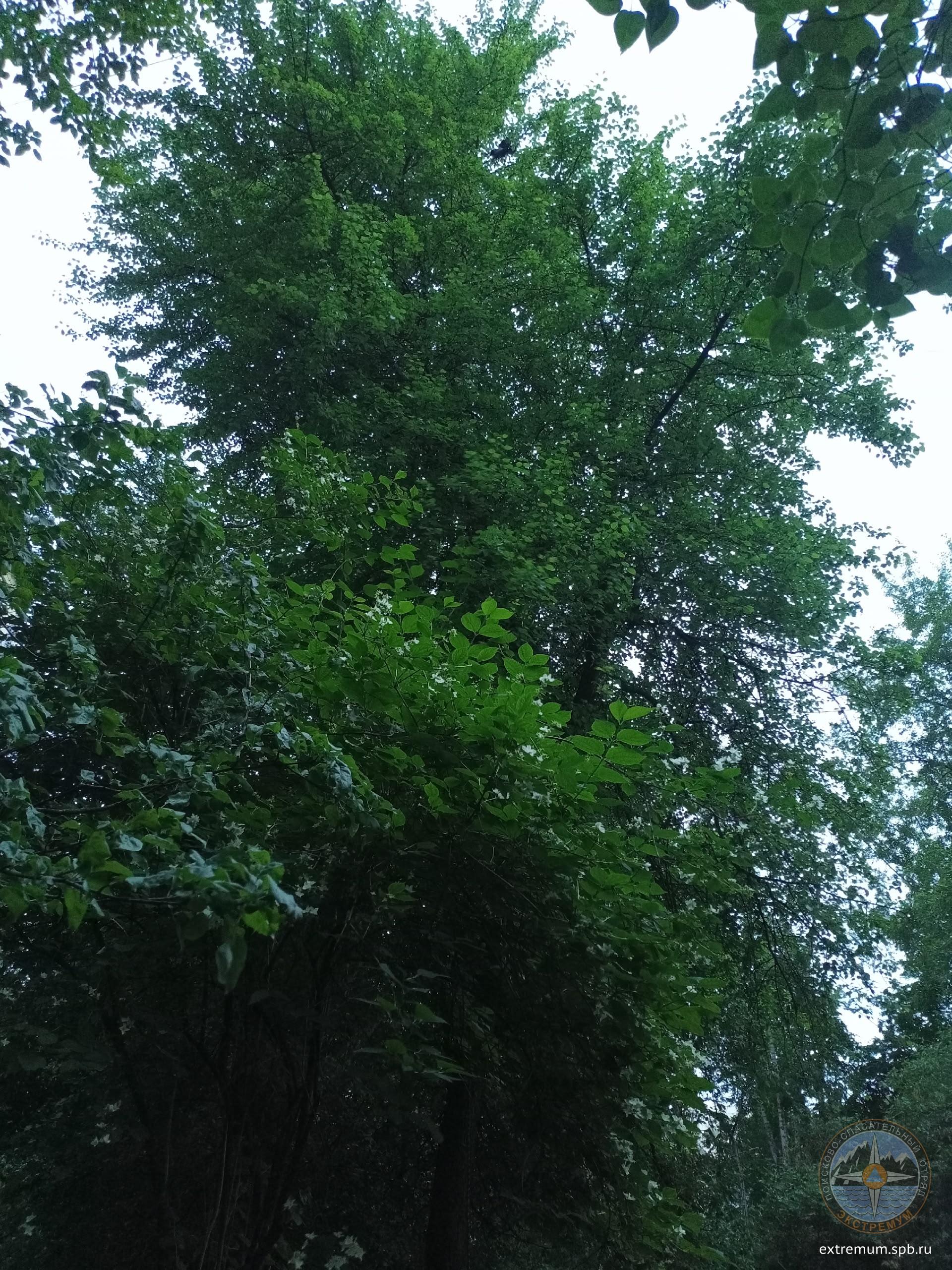 Xv9XFa1tpkxesk8A--V6cmBn9PPWw_rL5d27DYn_tsdeqfQTXAWlgLoCf0a-ItNJhUgolpVexJP2rrri4DcF3WcG.jpg