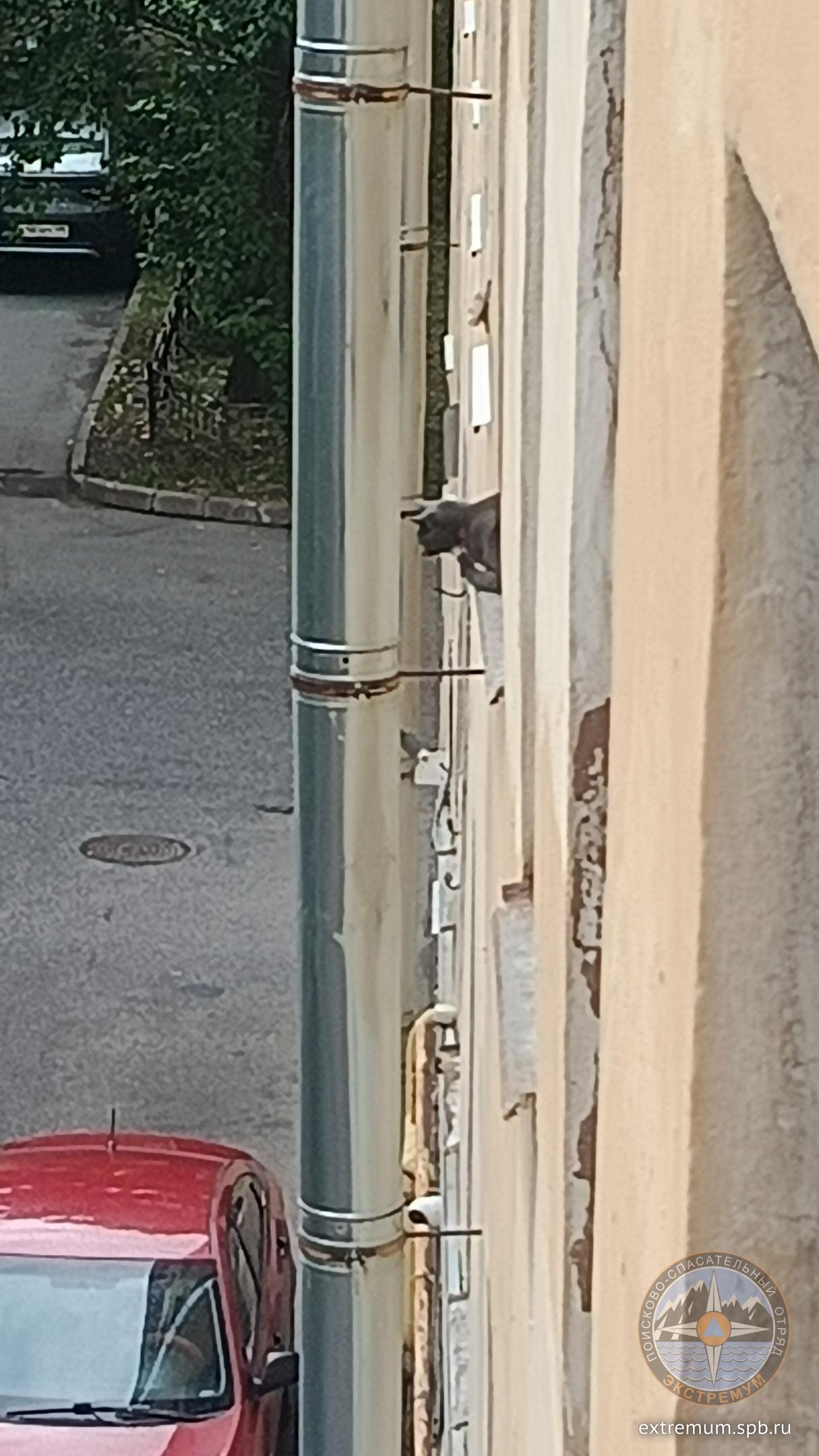 JdLmVqZqFKUOA36SkeXOnn1sskxlHVVonbipveGGgo_xw6Dp1MuB26DbSb-7zFxP72-7DSDP2A8KCgTAwznRFX-T.jpg