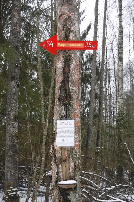 DSCF4564.JPG