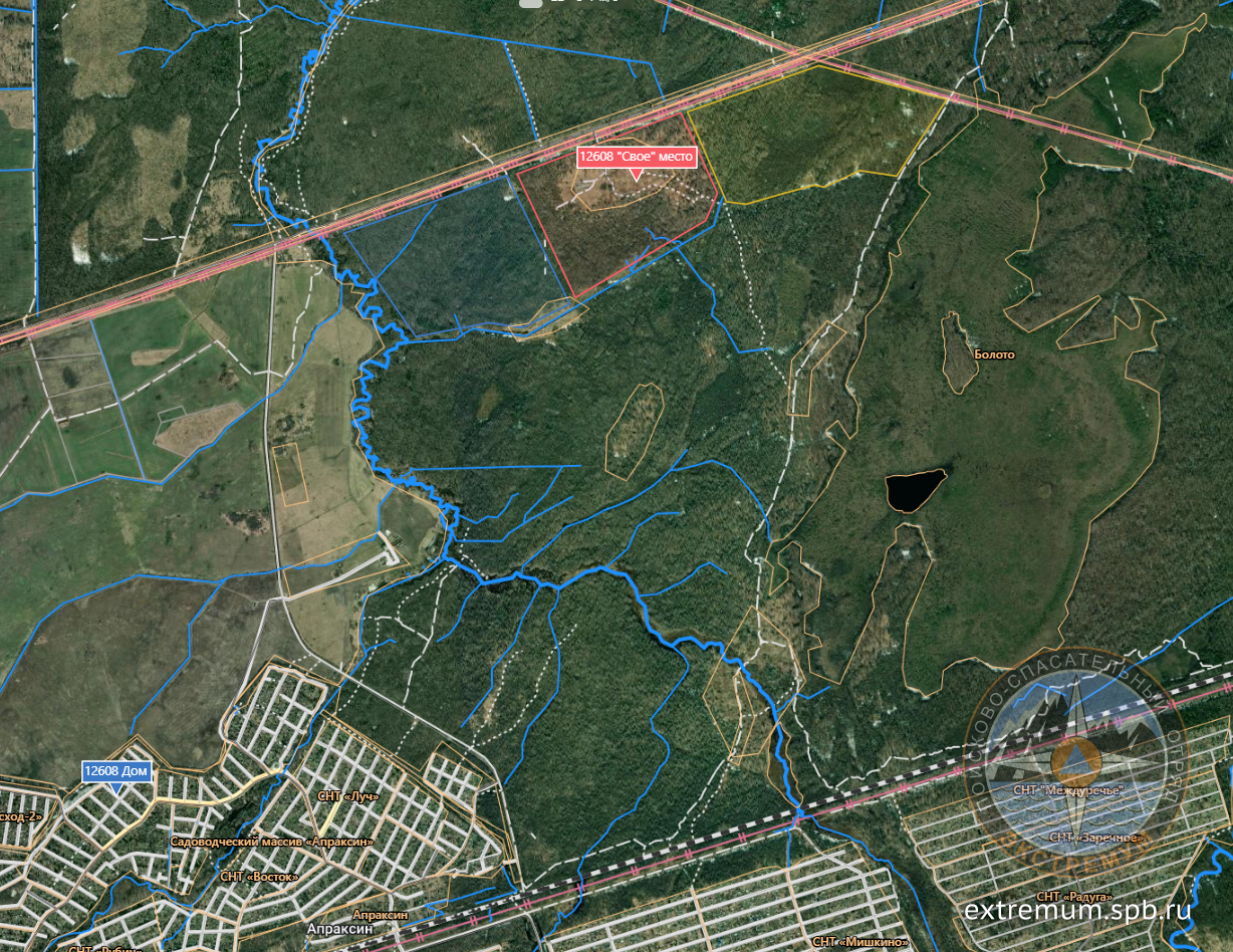 12 07 День Кинологи Спутник.png