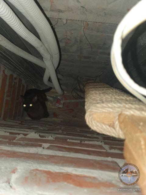 HwPws--KN3m7mHmACa5fUEmYHNjDDQoO3zhGqScNTM8wJqIvAuSsPte2ArvpbcWrflyiOVgYpBc8ZIkWYkZO6K9HArtBWQ.jpg