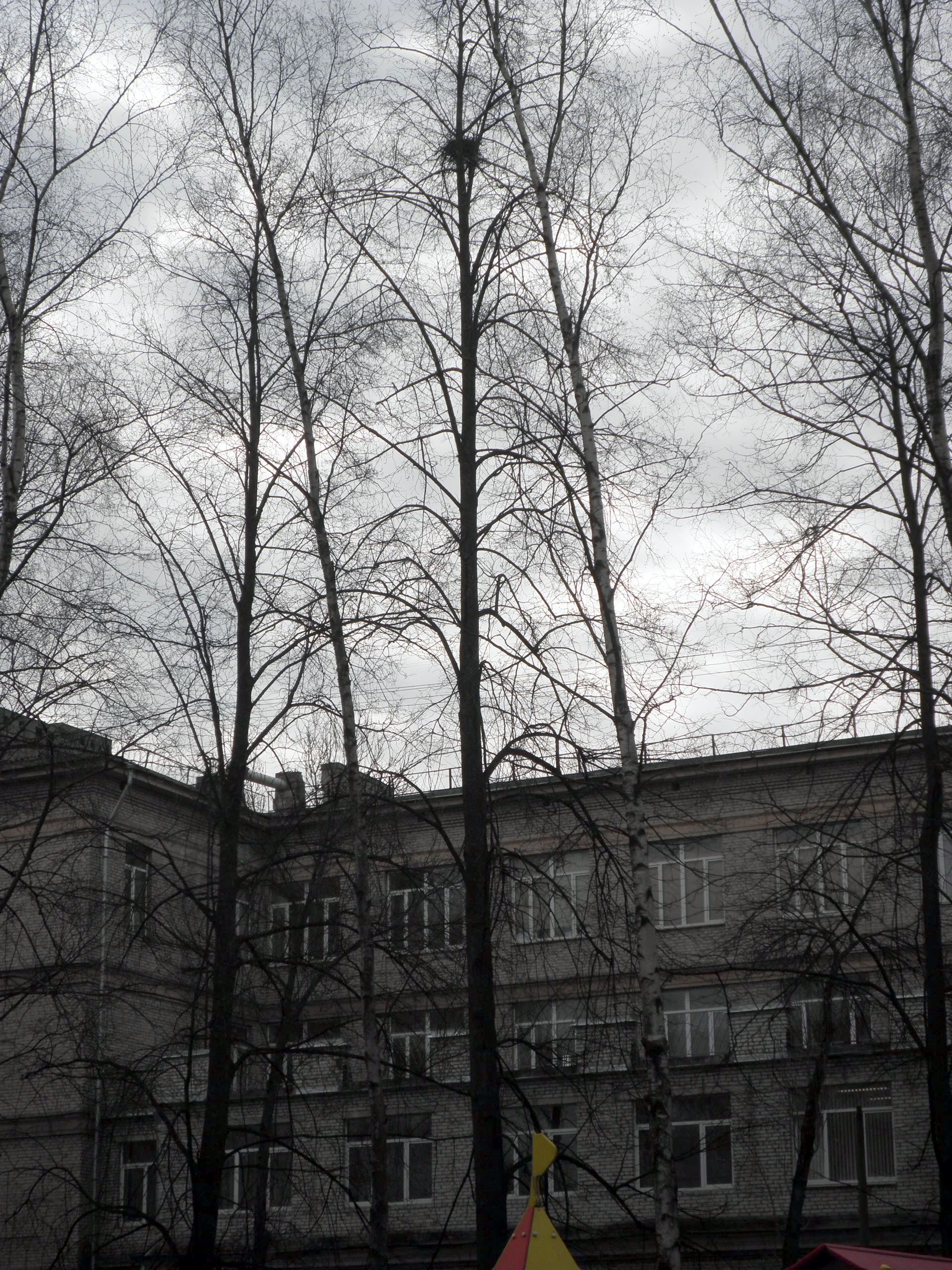 P4060004.JPG