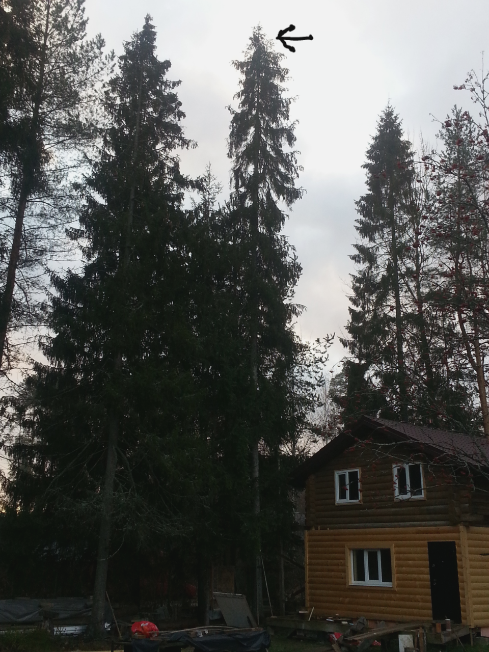 2014-11-01 09.06.29.png