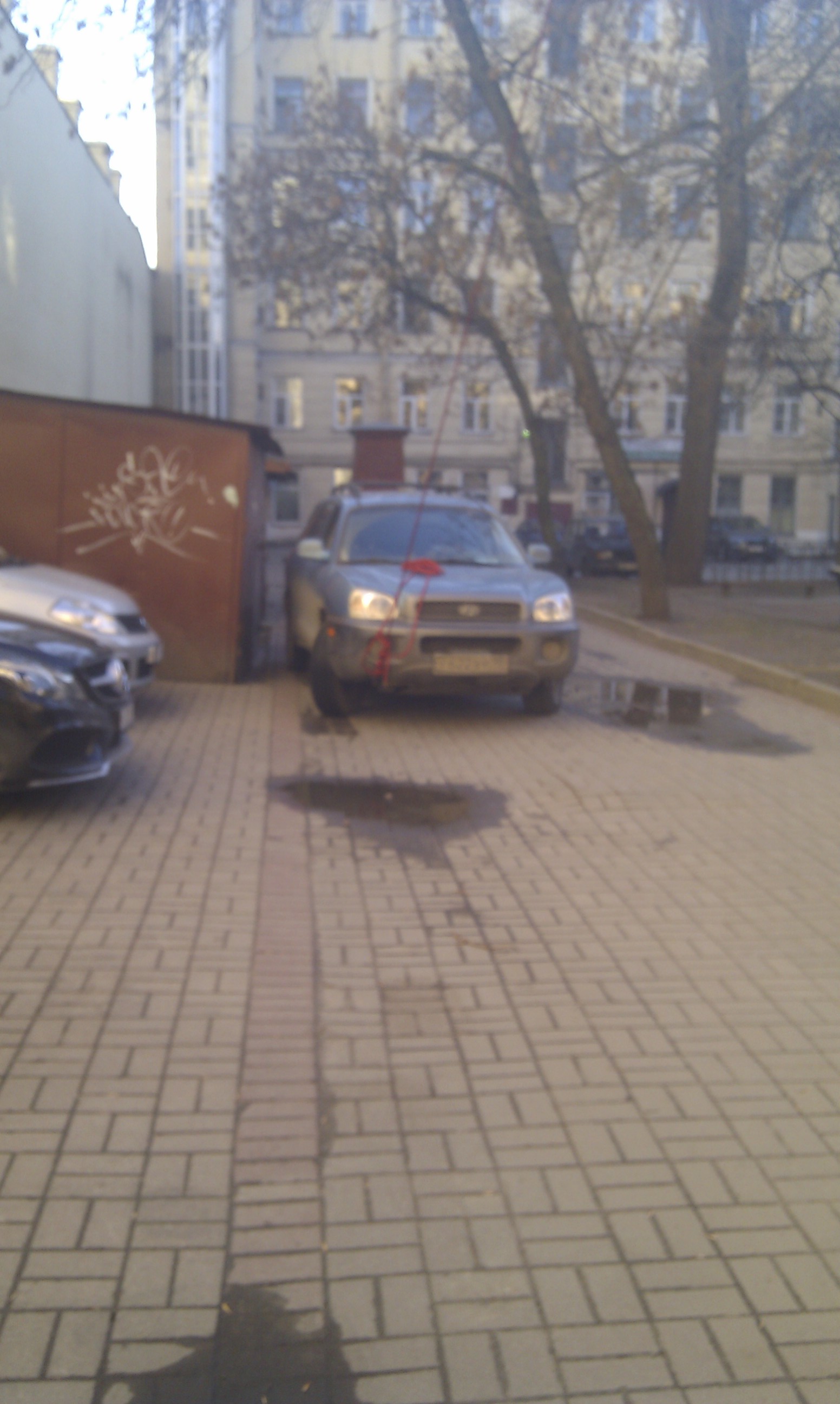 IMAG0194.jpg