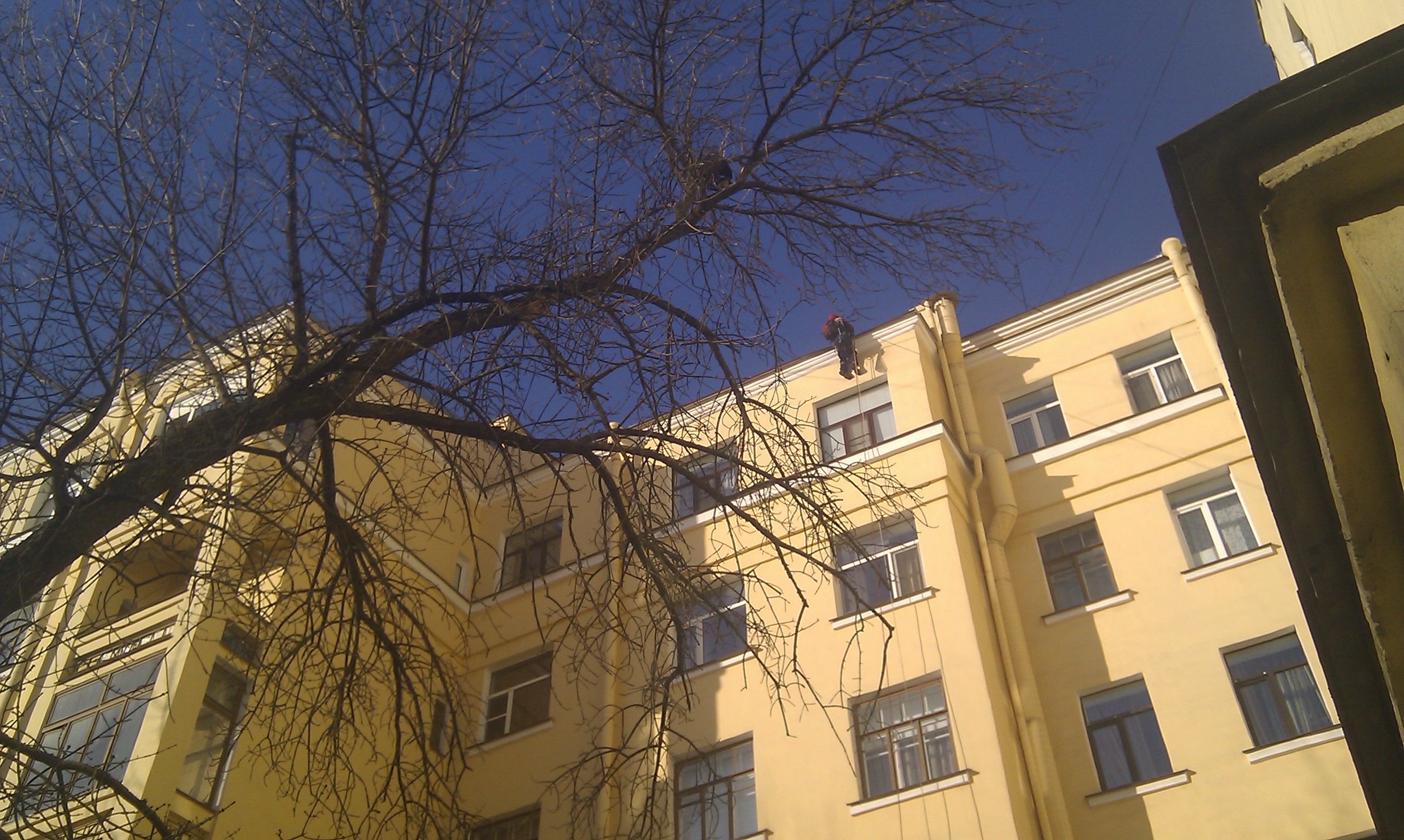 IMAG0196.jpg