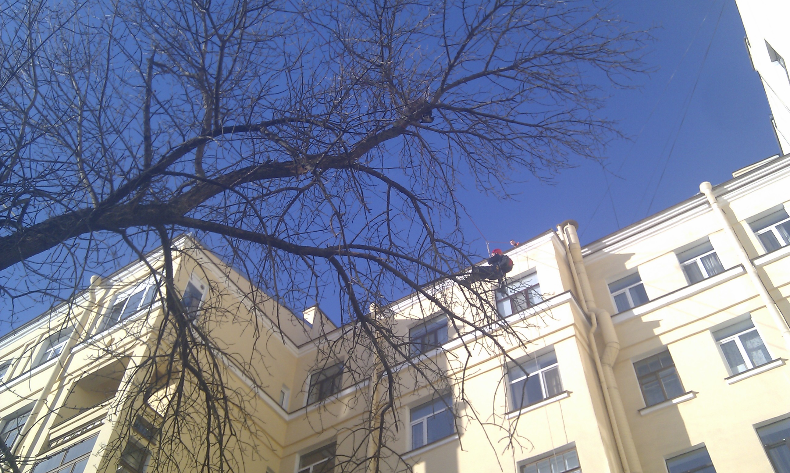 IMAG0197.jpg