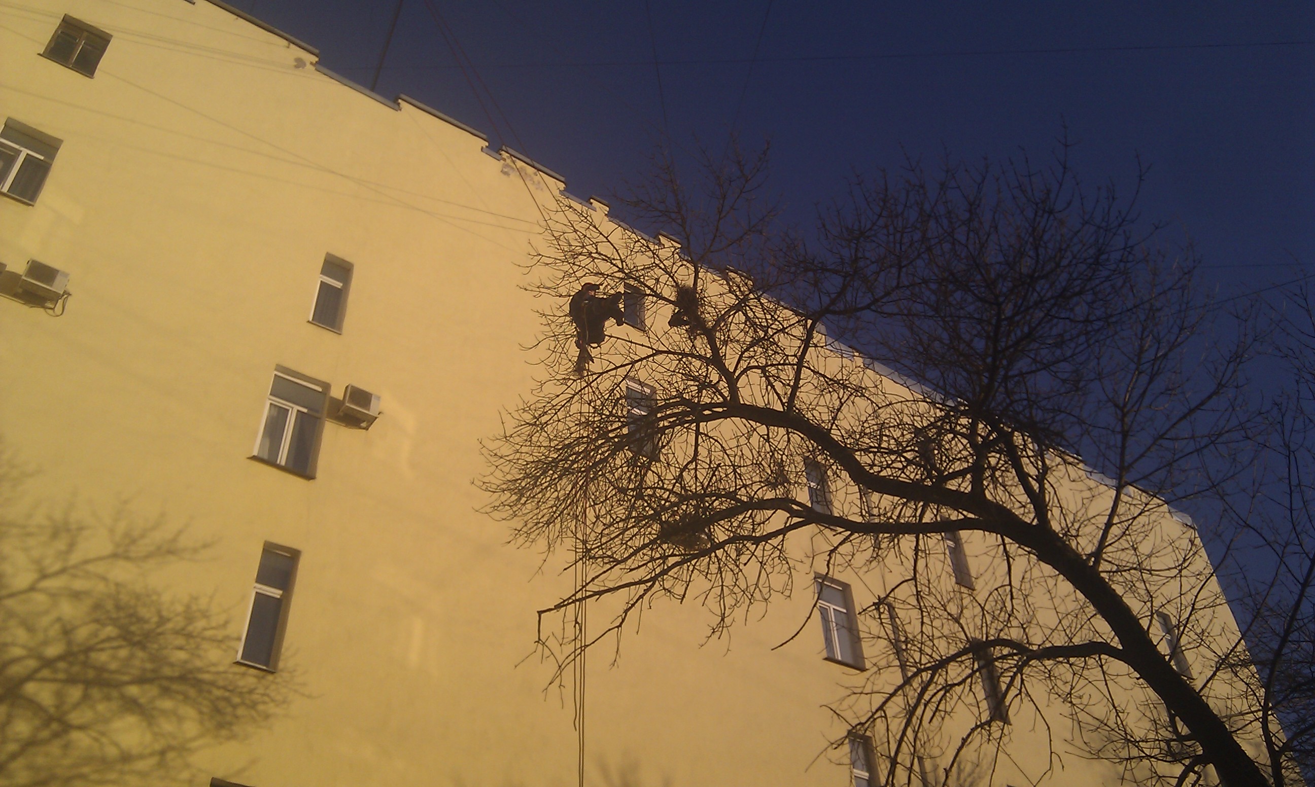 IMAG0203.jpg