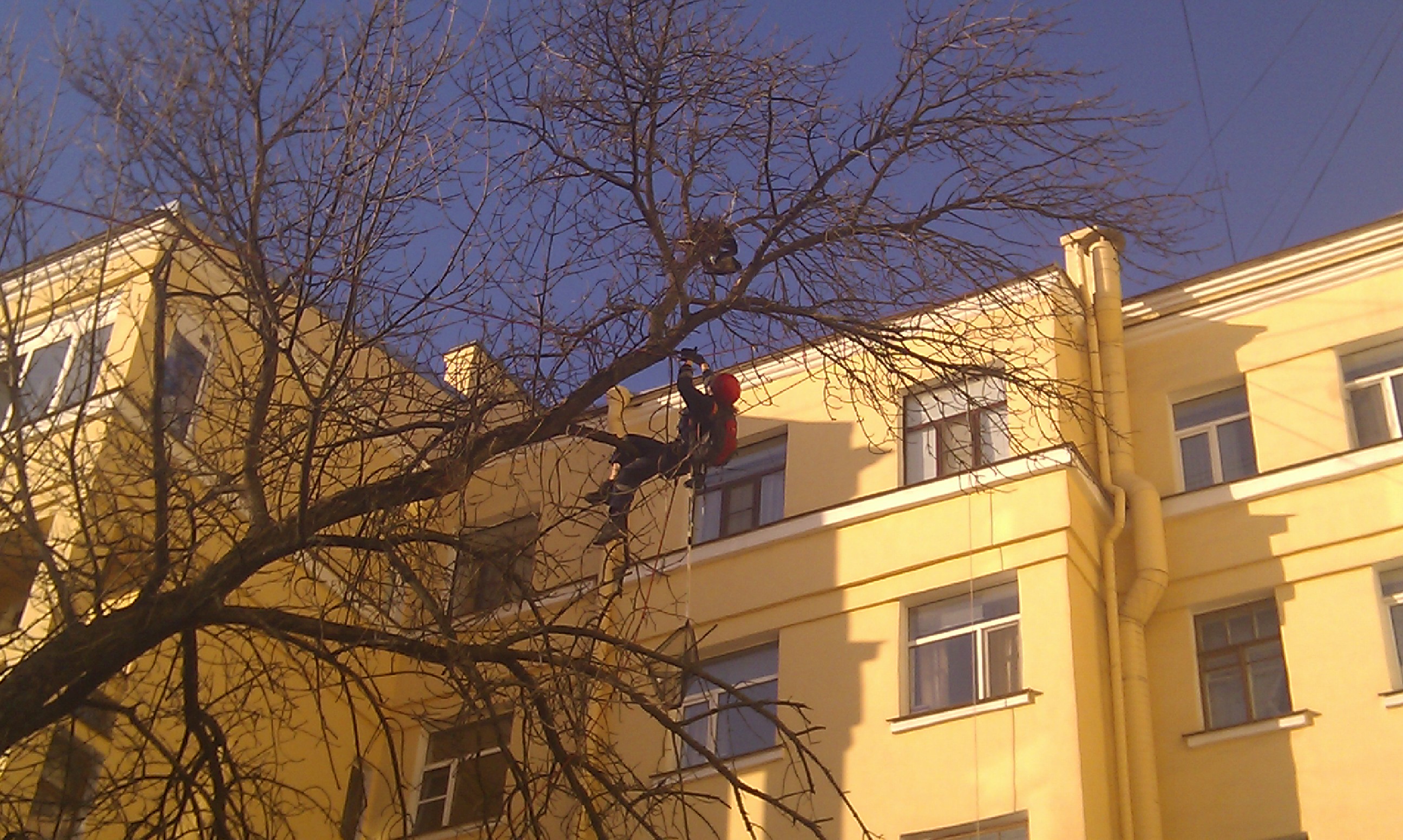 IMAG0206.jpg