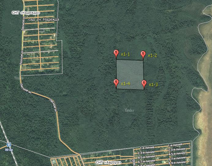 Задча кинол1.JPG