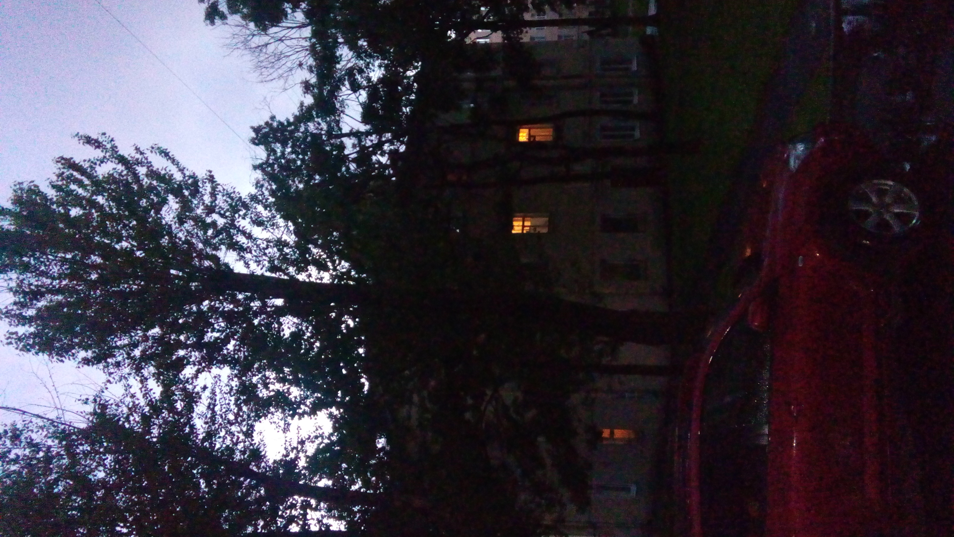 20170706_225311.jpg