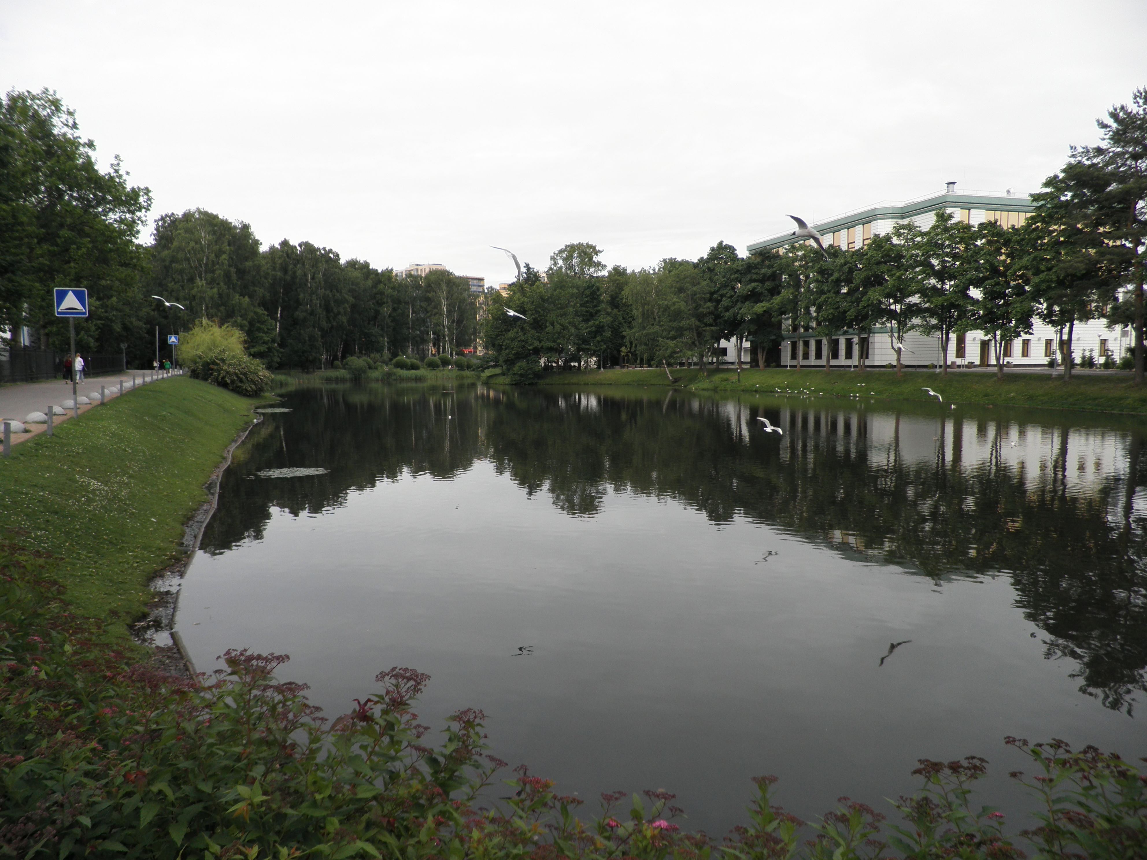 P7070193.JPG