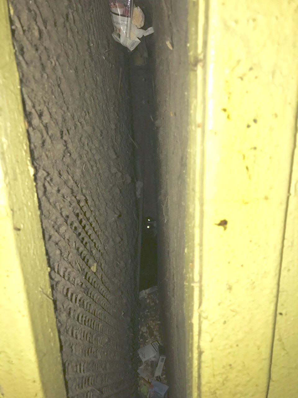 кот между лифтами.jpg