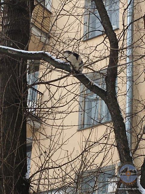 IMG_0265.jpg