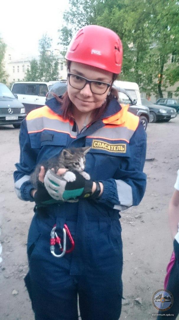 EtgM8ZSuwsk.jpg