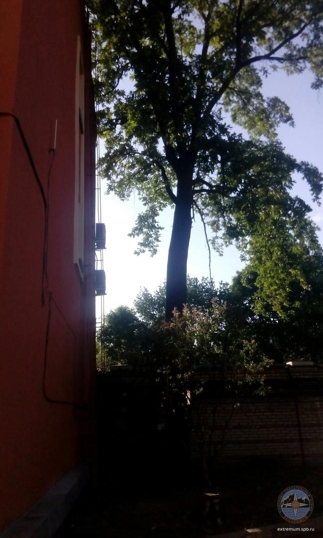 котэ 4.jpg