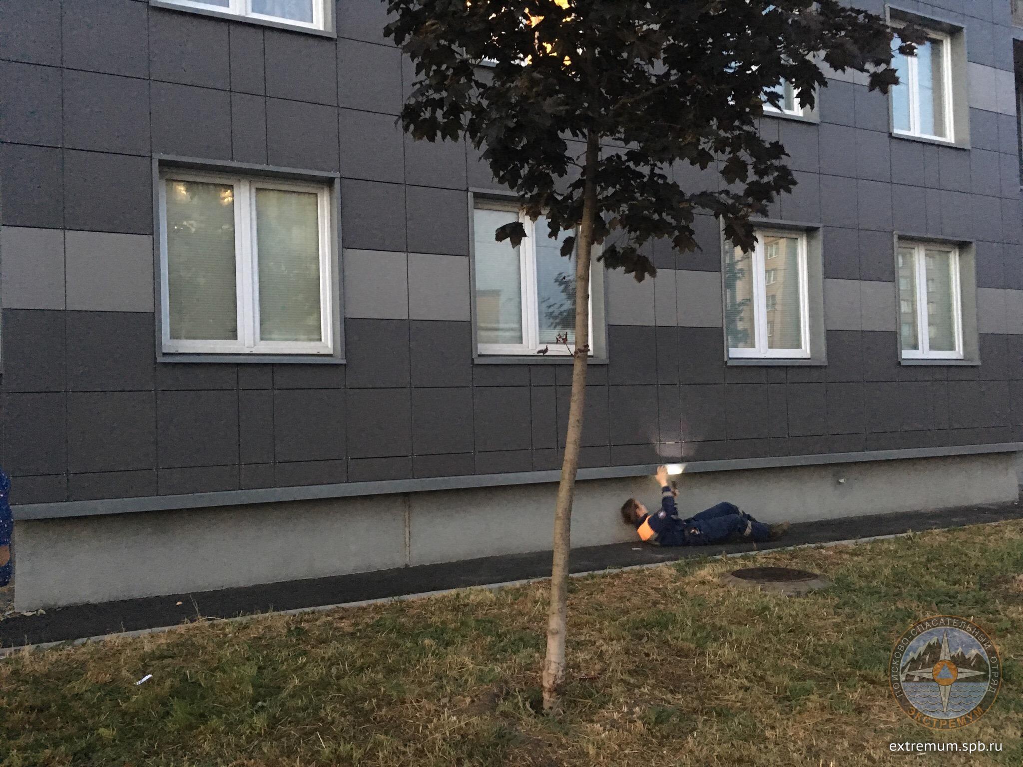 E8mSzxPU_s4.jpg