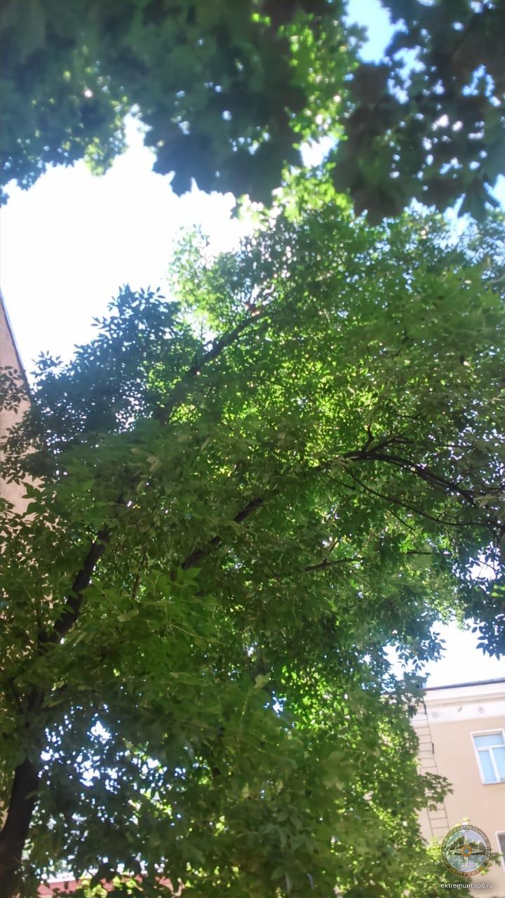 IMG-20180626-WA0001.jpg