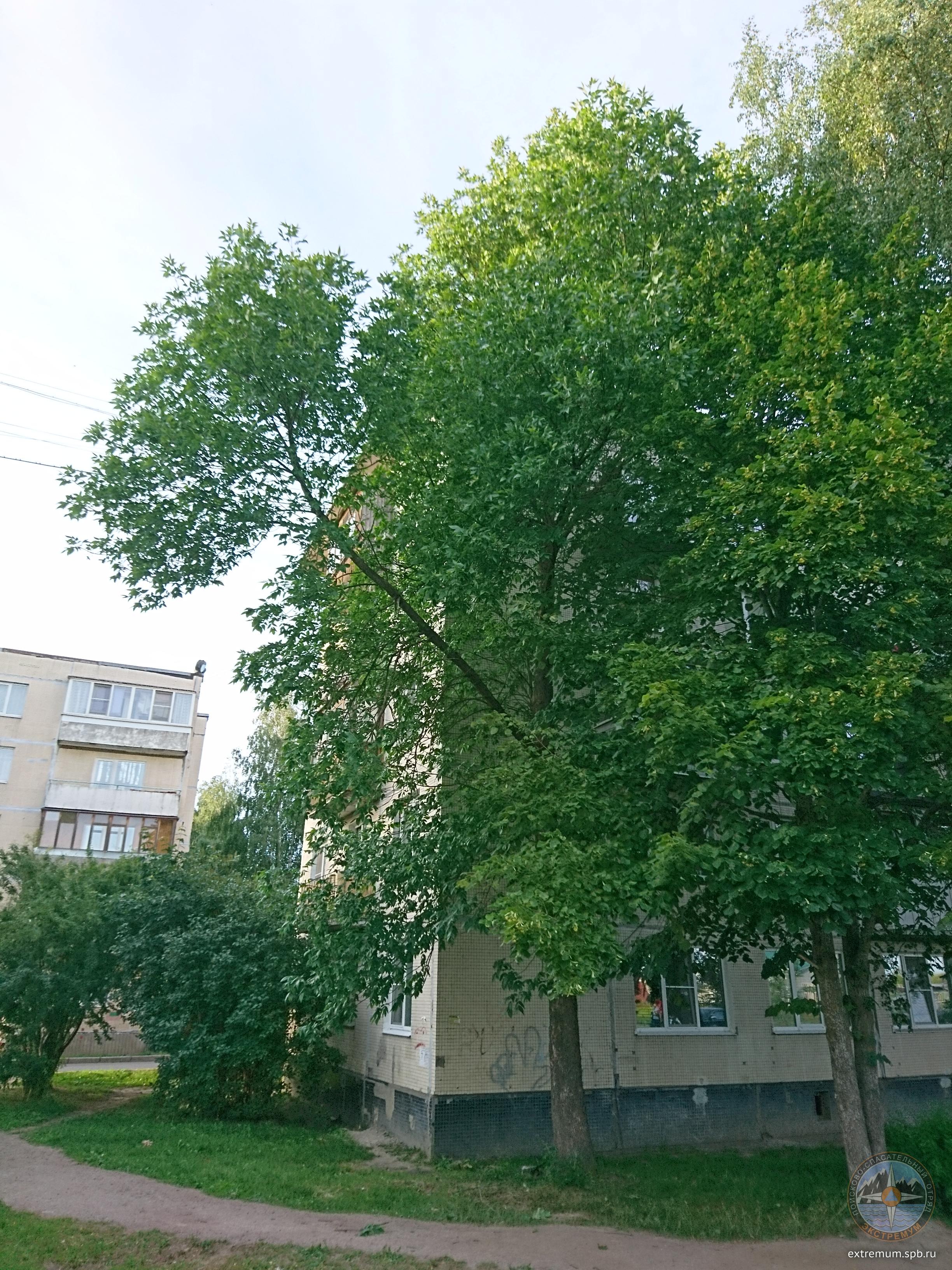 DSC_0431.JPG