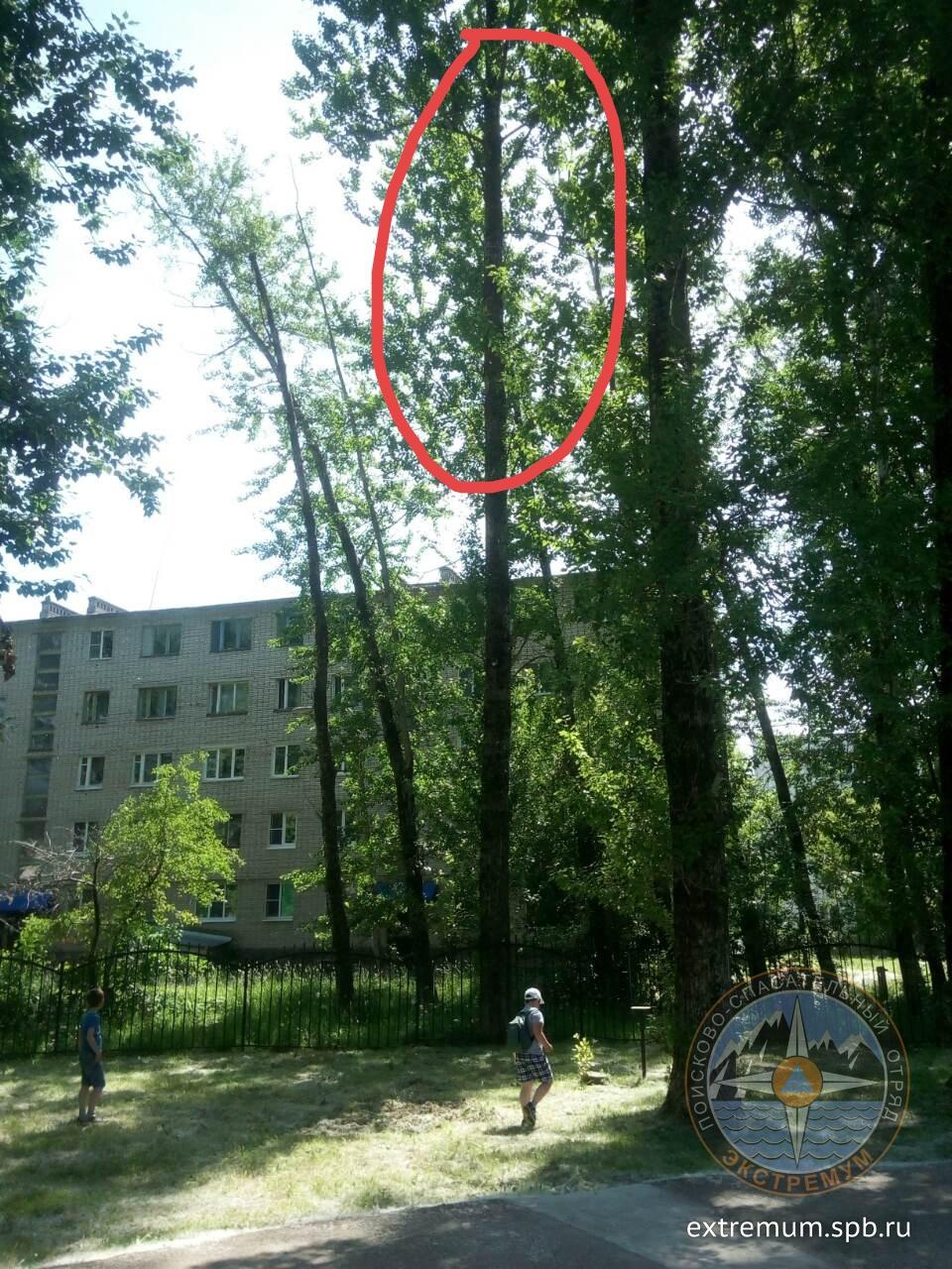кот2.jpg