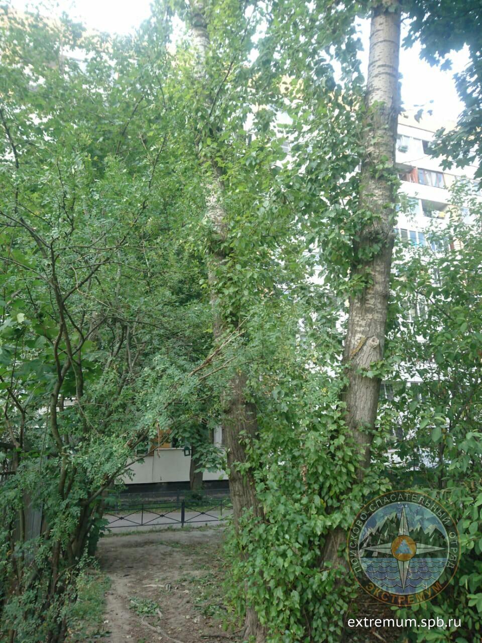 81233839-5F20-4B46-9768-2BA9CC322CEC.jpeg