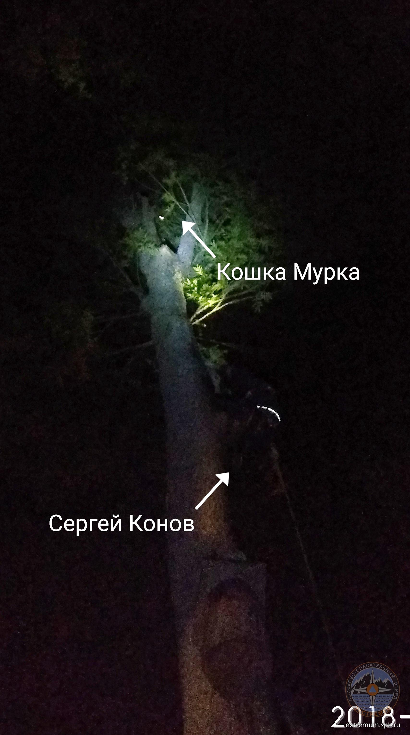 IMG_20180808_231952.jpg